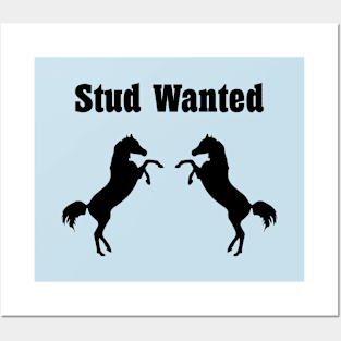 Stud Wanted Two Stallion Horses Monotone Posters and Art